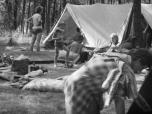 (6/7): Czarna Hańcza - przez dwa tygodnie nie spadła kropla deszczu.<br>1982-07