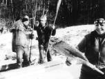 (3/20): Brda - młoteczek do lodu się przydał.<br>1984-02
