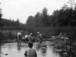 (8/20): Skarlanka - brodziliśmy w mule wpadając czasami po pas.<br>1984-06