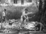 (17/24): Wda - trzeba kleić składaczka.<br>1987-07