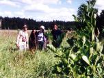 (11/17): Mazury - na trasie: Kamień - Pisz.<br>1994-07
