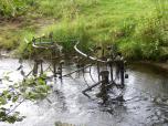(25/34): Wierzyca - ktoś wyrzucił dzięło sztuki w rzece<br>2004-08