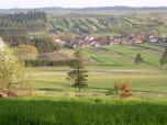 (8/21): Wieprz - niesamowity widok od strony rzeki<br>2005-04