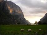 (36/122): Lysebotn - wieczorem zabiwakowaliśmy nad fjordem.<br>2005-08-14