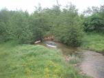 (7/21): Zgłowiączka - na trasie: Orle - Włocławek<br>2008-05