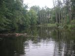 (11/21): Krutynia - na trasie: Młynik - Drapacz<br>2008-06