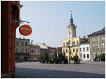 (34/117): W drodzw do Goczałkowic zwiedziliśmy Skoczów.<br>2008-04-27