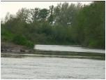 (115/117): Ujście Nidy.<br>2008-05-03