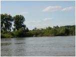 (63/107): Zamek w janowcu.<br>2008-07-31