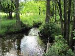 (26/73): Rzeka Dobrzyca - Nowa Wieś<br>2011-06-24