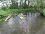 (33/73): Rzeka Dobrzyca - okolice Ostrowca<br>2011-06-25
