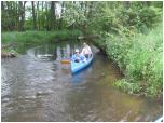 (34/73): Rzeka Dobrzyca - okolice Ostrowca<br>2011-06-25