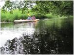(36/73): Rzeka Dobrzyca - okolice Ostrowca<br>2011-06-26