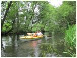 (37/73): Rzeka Dobrzyca - okolice Ostrowca<br>2011-06-26