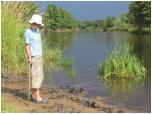 (41/73): Rzeka Warta - przed Przywozem <br>2011-07-14