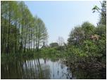 (23/91): W oddali kościół w Topólce.<br>2011-05-20