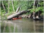 (63/91): Teraz płyniemy do Włocławka.<br>2011-05-22