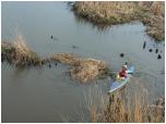 (14/109): Rzeka Biebrza - w Lipsku.<br>2012-04-29