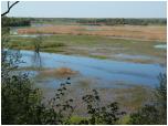 (30/109): Rzeka Biebrza - Biebrza w okolicy Osowca.<br>2012-05-02