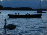 (64/109): Rzeka Wda - jezioro Wdzydze.<br>2012-07-19