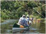 (85/109): Rzeka Wda - las po kataklizmie.<br>2012-07-27