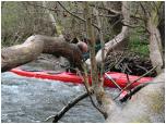 (18/66): Rzeka Radunia - Leszek w Jarze Raduni.<br>2013-05-03