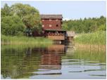 (48/66): Rzeka Netta - młyn w Białobrzegach u połączenia Sajownicy z Nettą.<br>2013-07-09