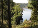 (60/83): Rzeka Vuoksi za wodospadami Imatra; jest już woda, bo dostarcza jej pracująca elektrownia.<br>2014-08-06