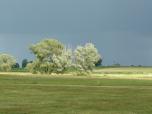 (53/111): Narew, bêdzie pada³o?<br>2016-07-09