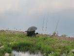 (61/77): Wisła - w Bobrownikach<br>2017-07-23