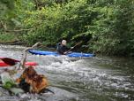 (73/77): Wel - na trasie<br>2017-09-17