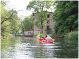 (51/106): 2019-06-22<br>Liswarta - przed przenoską w Troninach
