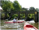 (54/106): 2019-06-23<br>Kocinka - za jazem w Kuźnicy