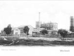 (35/48): Fabryka Celulozy Włocławek<br>fot. B. Sztejner, przed 1902 r.<br>Widok fabryki celulozy Braci Cassier (zał. 1899 r.) Fotografia wykonana na ulicy Płockiej