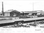 (38/48): Cegielnia L. Bojańczyka Włocławek<br>fot. Sztejner, przed 1902<br>Widok cegielni od strony ulicy Szpitalnej.