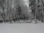 (2/21): Włocławek wiosną o poranku 27 marca 2008 r.
